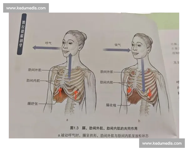 以呼吸节奏为核心探索身心平衡与内在能量的调控方法