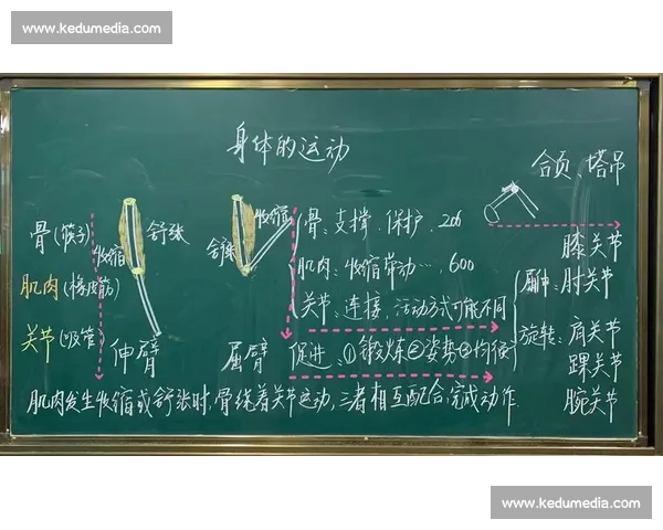基于体育训练实践的综合能力提升与科学方法研究