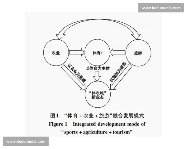 现代体育发展视角下的综合管理体系优化与运行机制研究